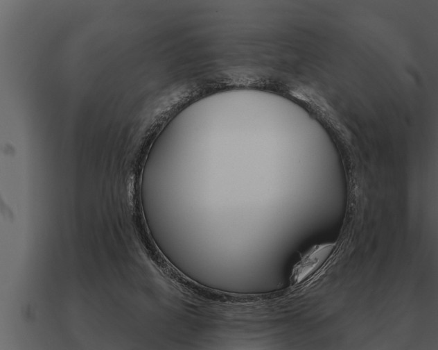 X0000091090066200708061008