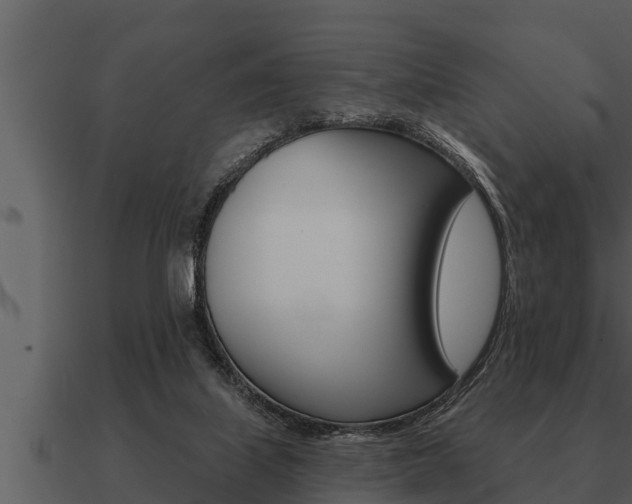 X0000091090067200708061008