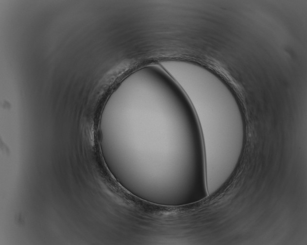 X0000091090068200708061008