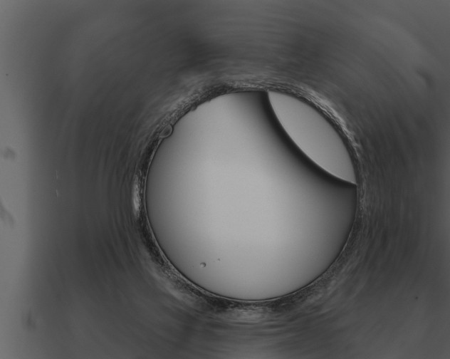 X0000091090069200708061008