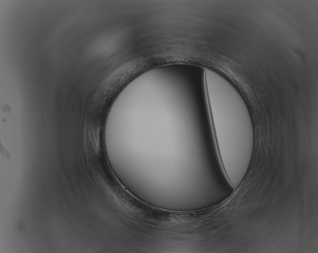 X0000091090070200708061008