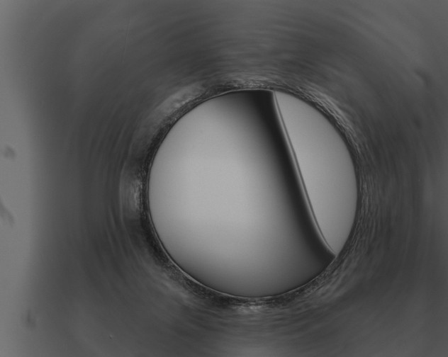 X0000091090071200708061008