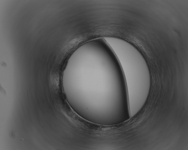 X0000091090072200708061008