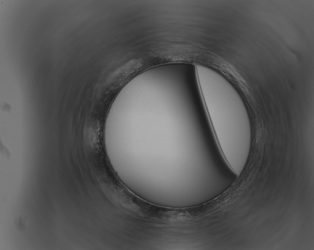 X0000091090073200708061008