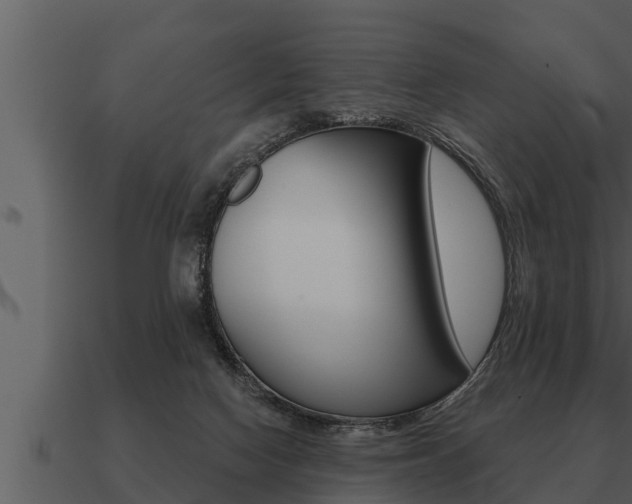 X0000091090074200708061008
