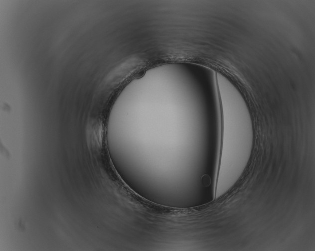 X0000091090076200708061008