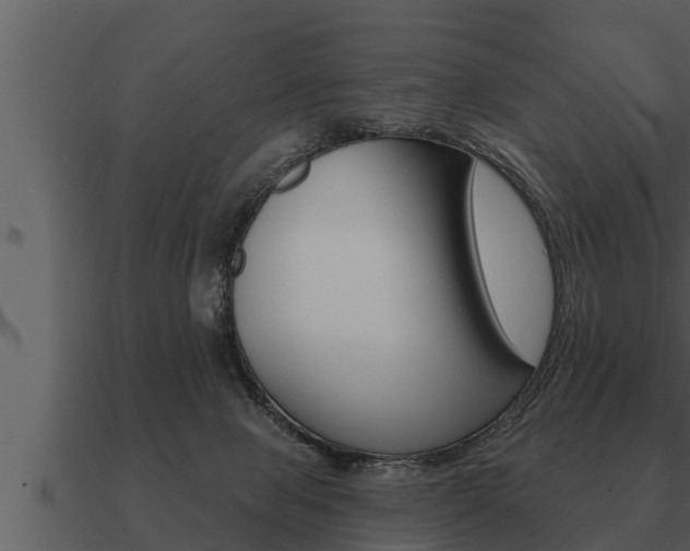 X0000091090077200708061008