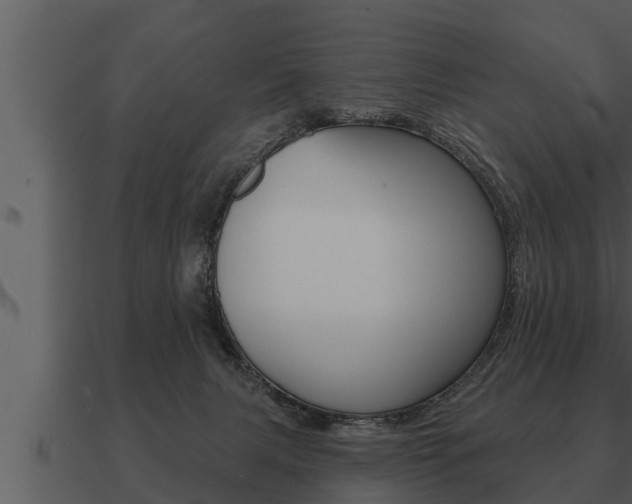 X0000091090079200708061008