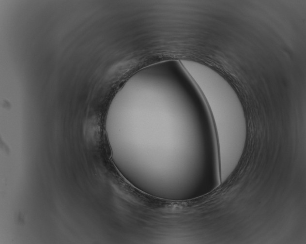 X0000091090080200708061008