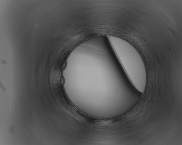 X0000091090081200708061008