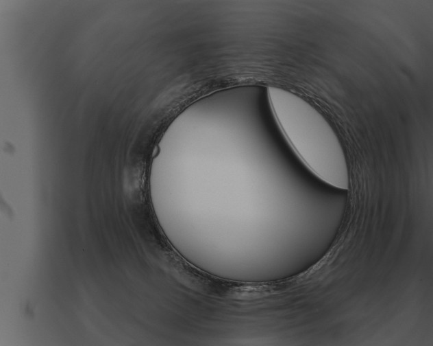 X0000091090082200708061008