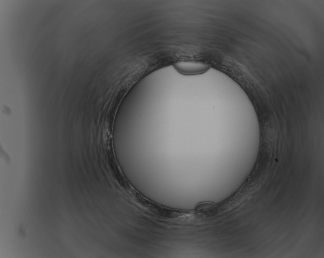 X0000091090083200708061008