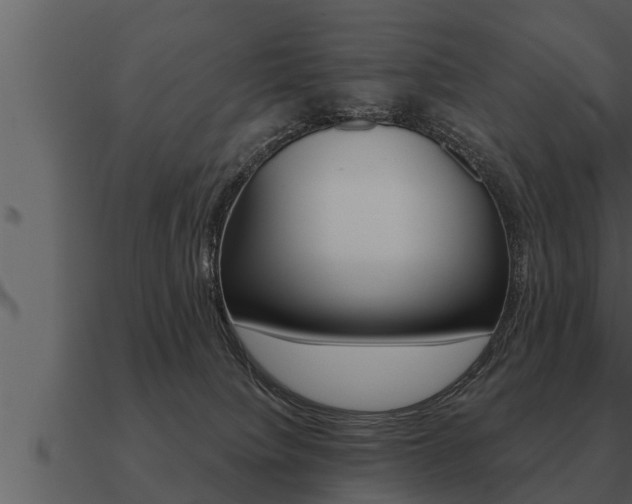X0000091090084200708061008
