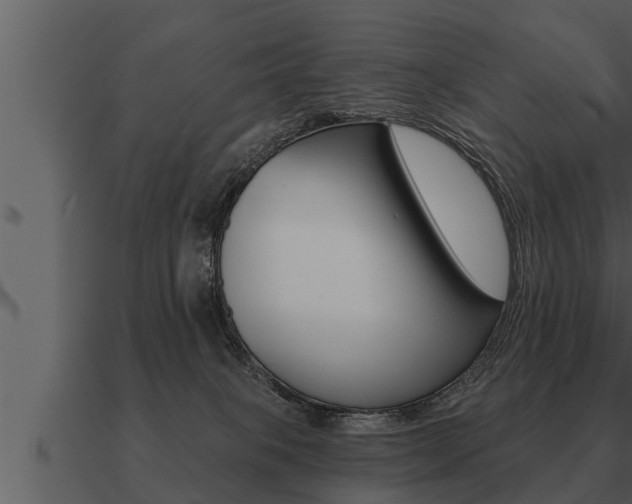X0000091090085200708061008