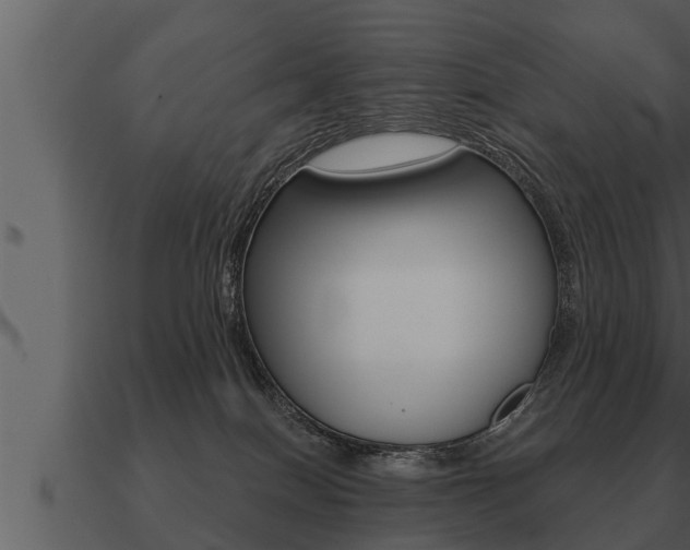 X0000091090086200708061008