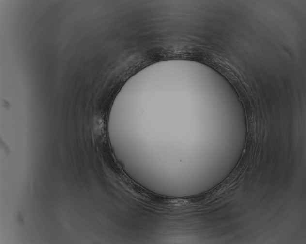 X0000091090087200708061009