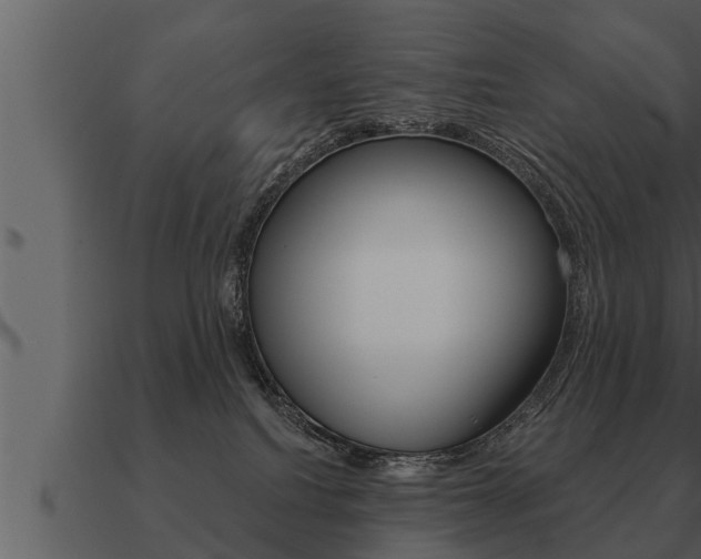 X0000091090088200708061009