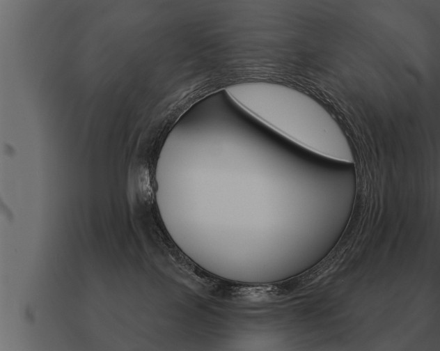 X0000091090089200708061009