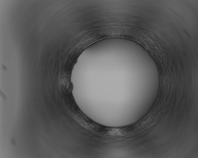 X0000091090091200708061009