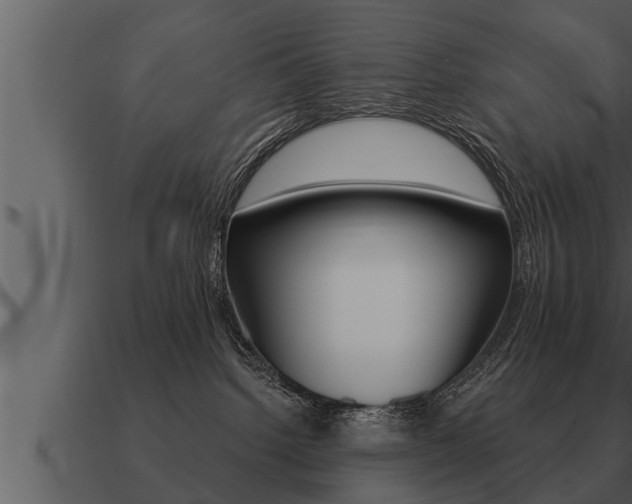 X0000091090092200708061009