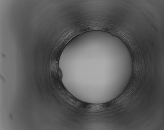 X0000091090093200708061009