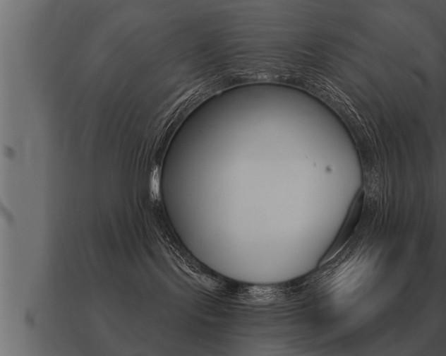 X0000091090095200708061009