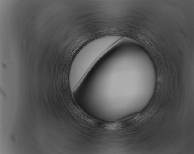 X0000091090096200708061009