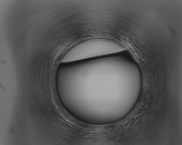 X0000091090097200708061008