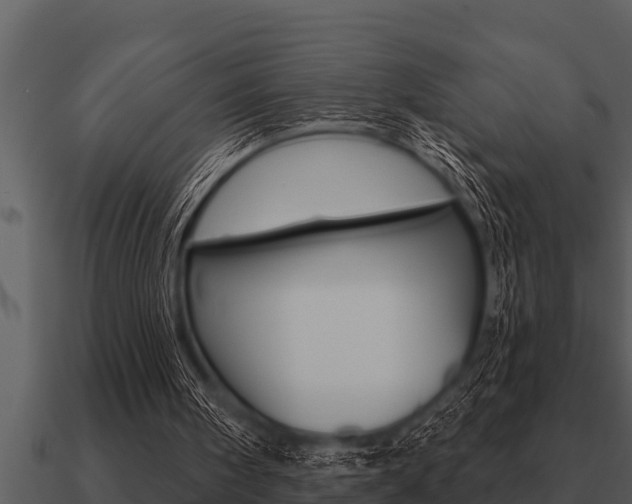 X0000091090098200708061008