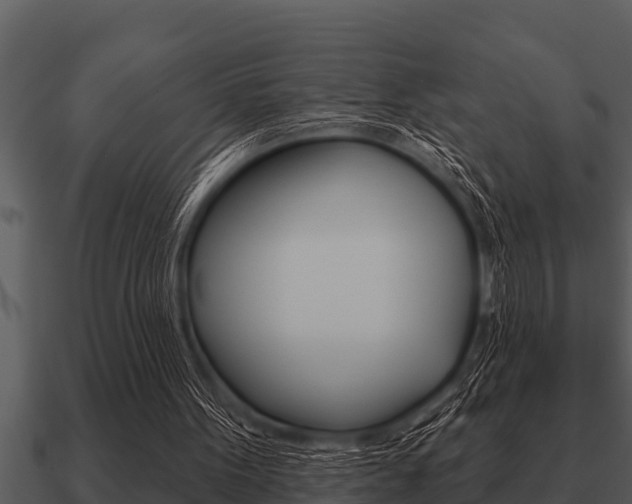 X0000091090099200708061008