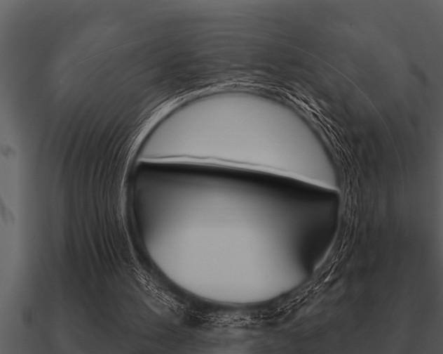 X0000091090100200708061008