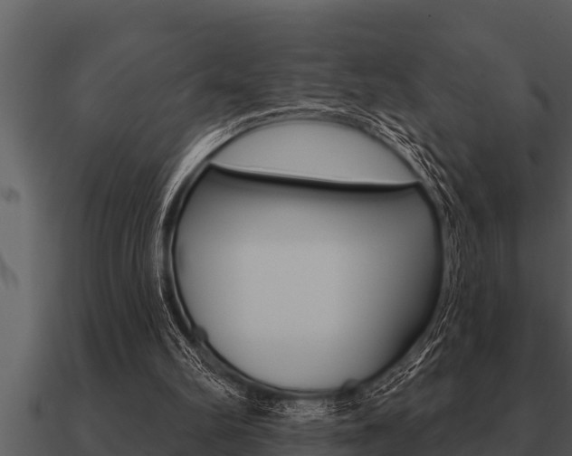 X0000091090102200708061008