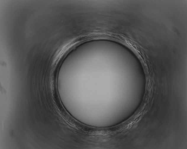 X0000091090103200708061008