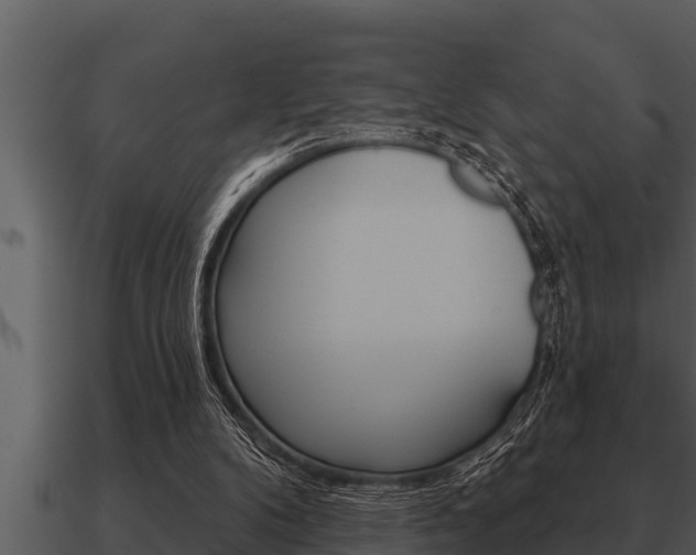 X0000091090104200708061008