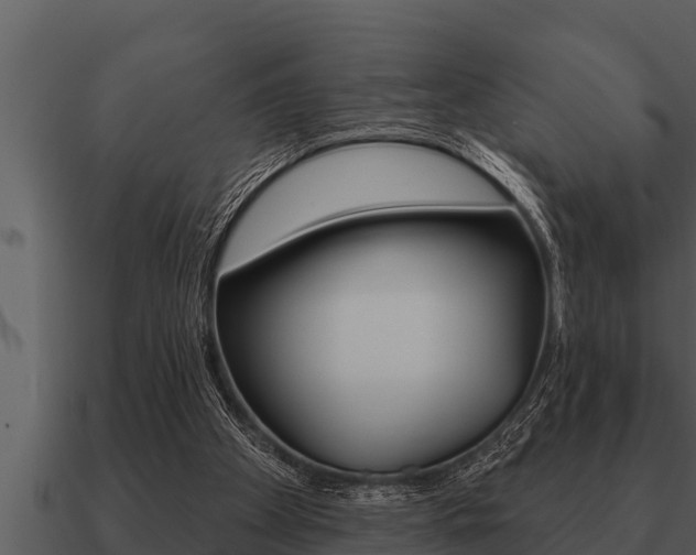 X0000091090105200708061008