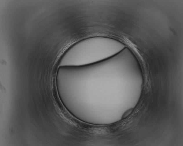 X0000091090106200708061008