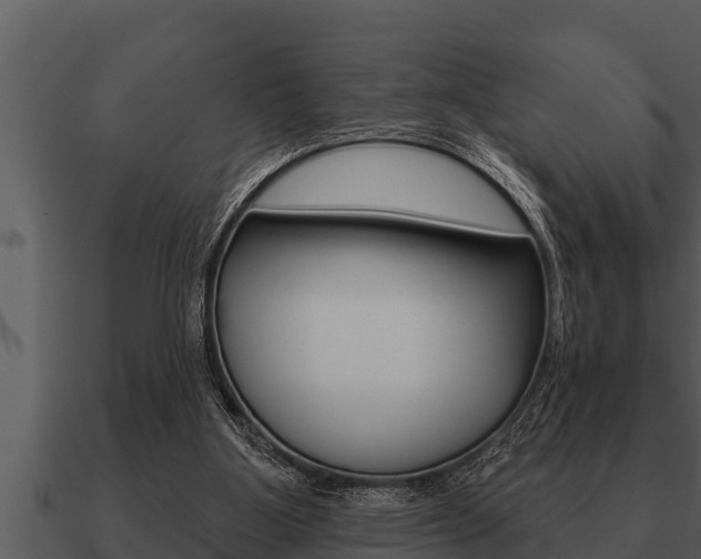 X0000091090107200708061008