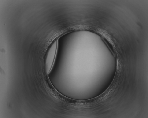 X0000091090109200708061008