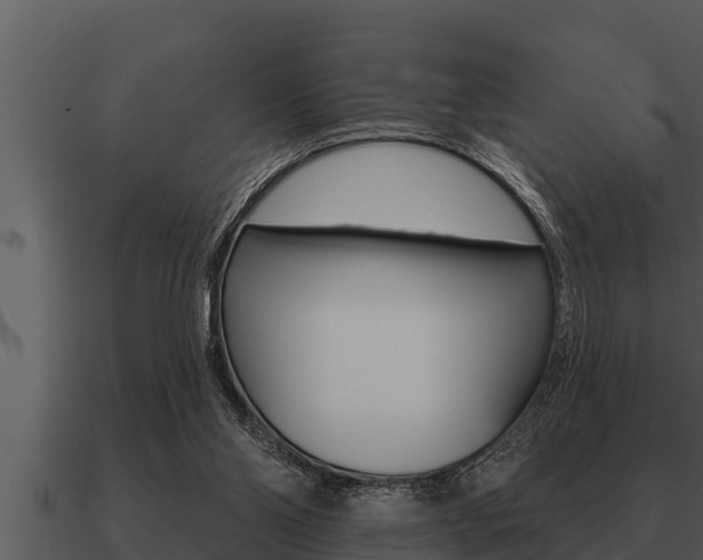 X0000091090110200708061008