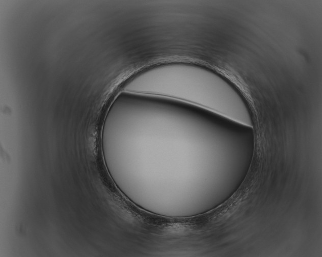 X0000091090111200708061007