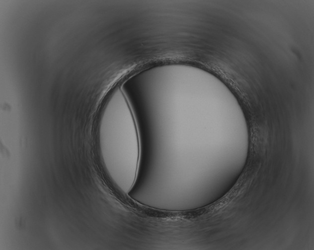 X0000091090112200708061007