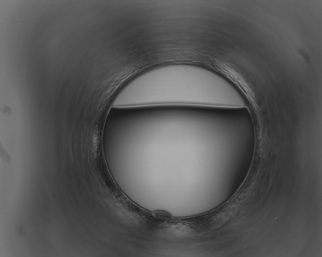 X0000091090113200708061007