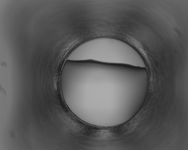 X0000091090114200708061007
