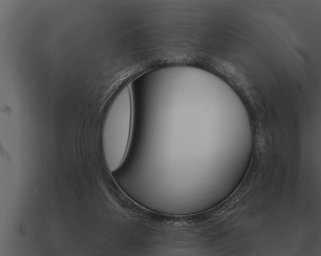 X0000091090115200708061007