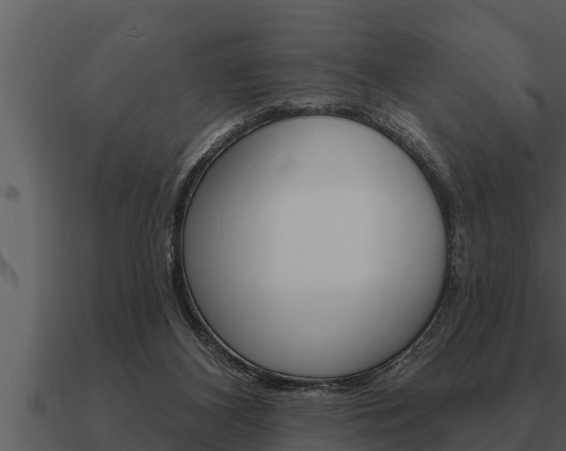 X0000091090116200708061007