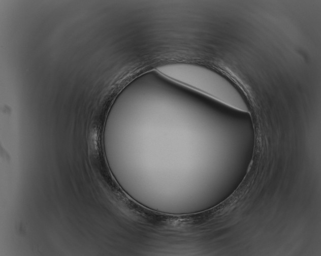 X0000091090117200708061007