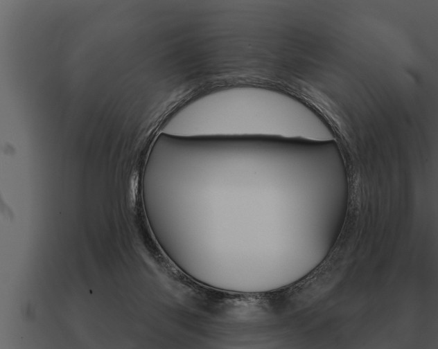 X0000091090118200708061007