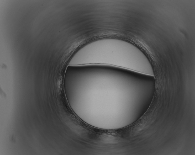 X0000091090119200708061007