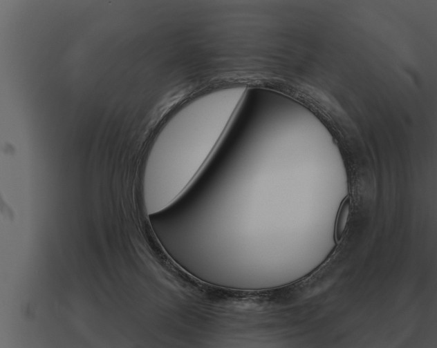 X0000091090120200708061007