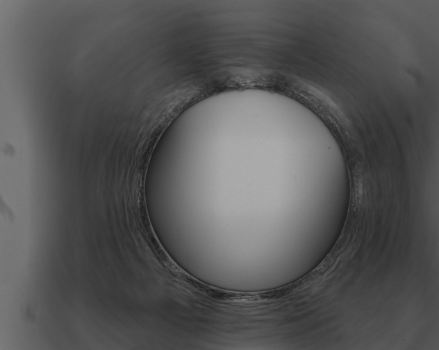 X0000091090121200708061007